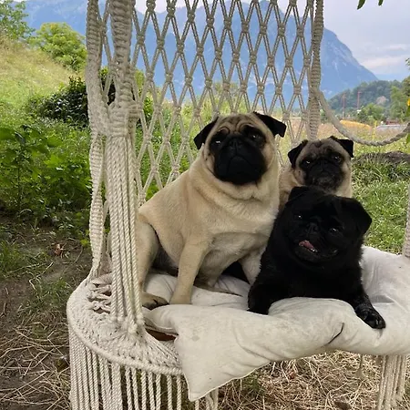 Private In An Old Near Vaduz * Sevelen