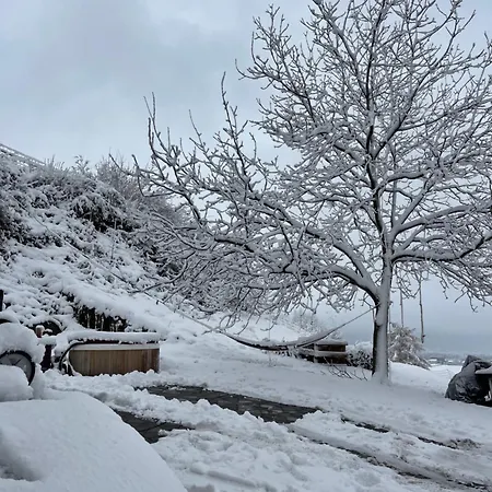 Private In An Old Near Vaduz Sevelen