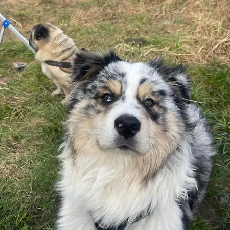 Private In An Old Near Vaduz