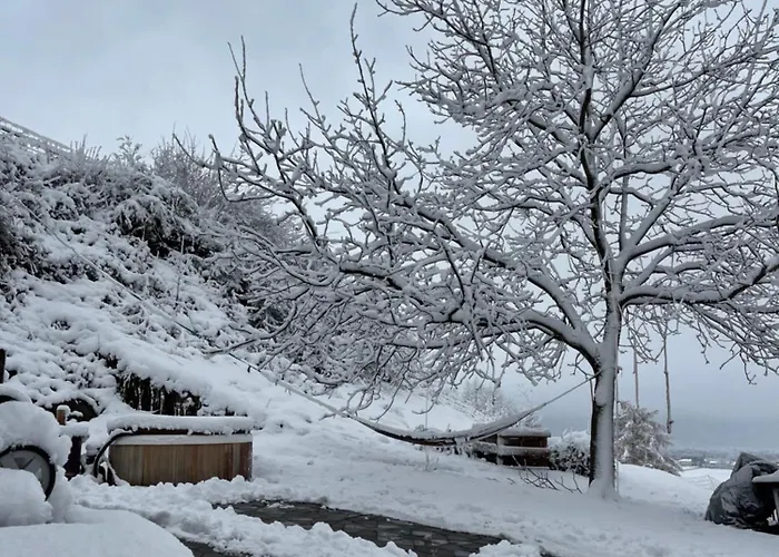Private In An Old Near Vaduz Sevelen