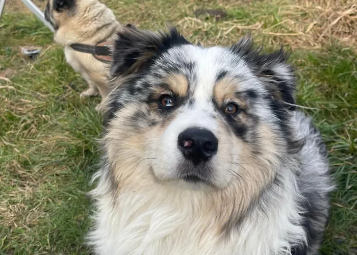 Private In An Old Near Vaduz